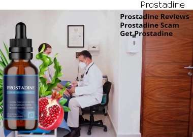 Prostadine For The Prostate